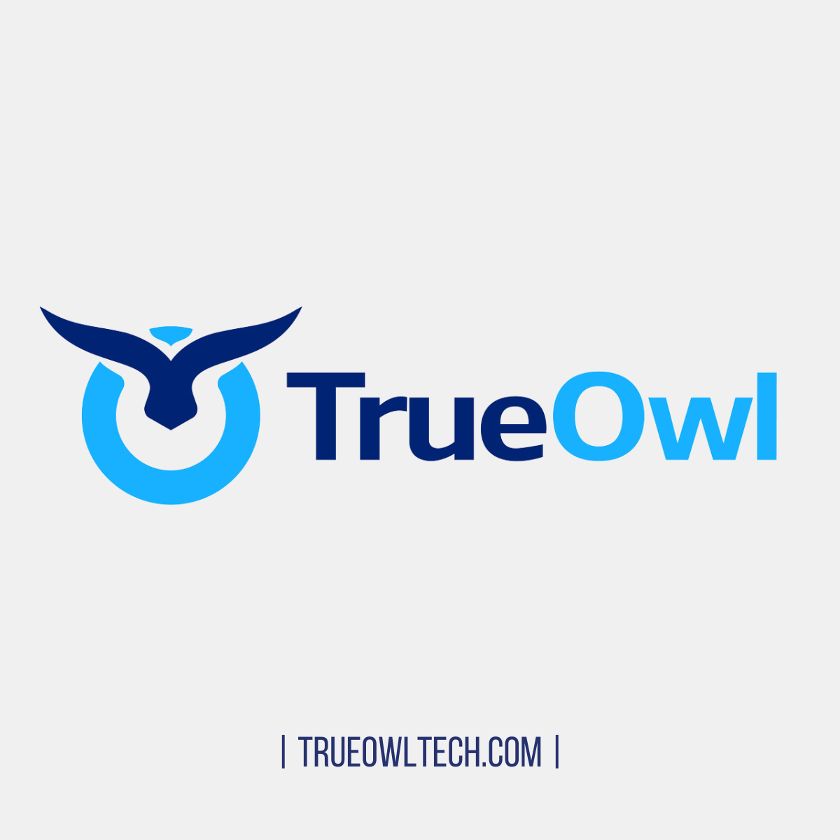True Owl Technology and Cybersecurity